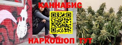 дурь Камышлов
