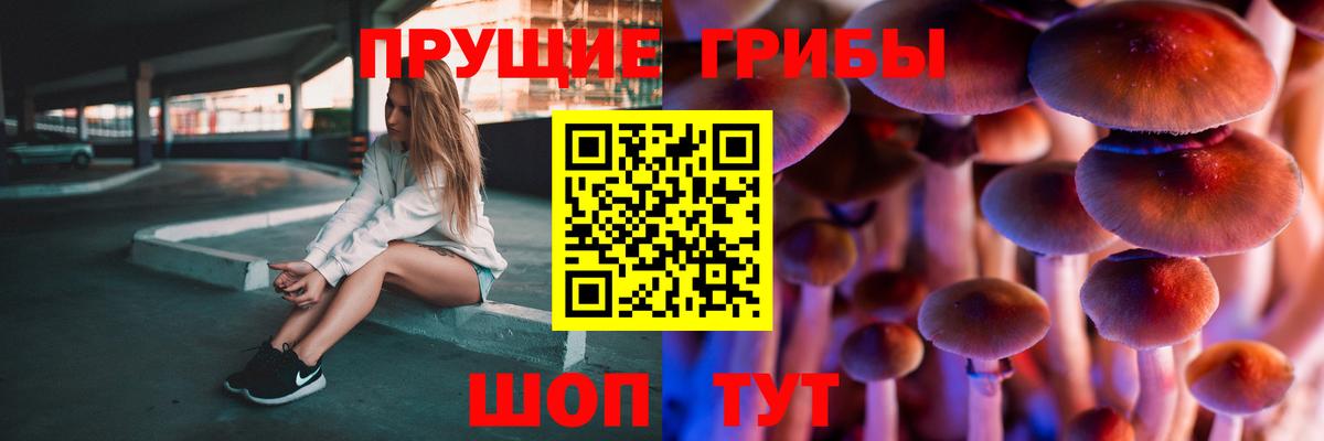 Псилоцибиновые грибы Cubensis Конаково